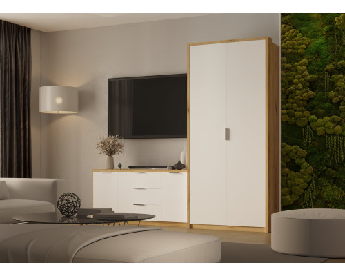 Шафа розпашна Aura/Аура №2 (2 двері)