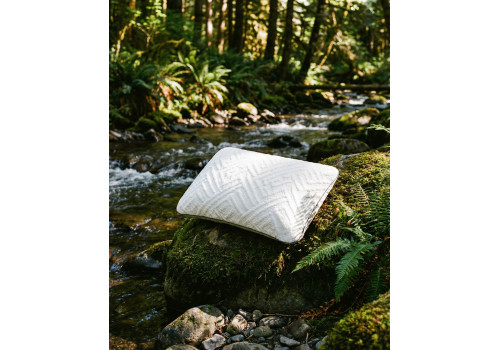 Описание картинки