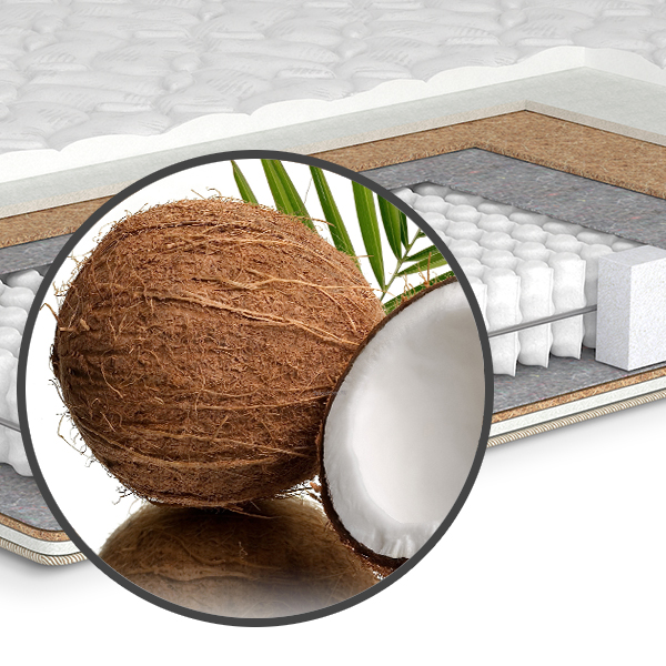 Технологии и материалы. Кокос (кокосовая койра)